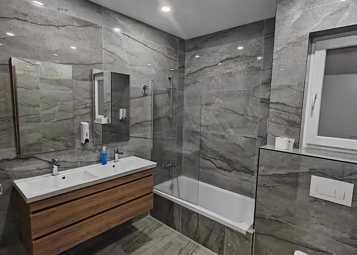 Large Deluxe Apartment